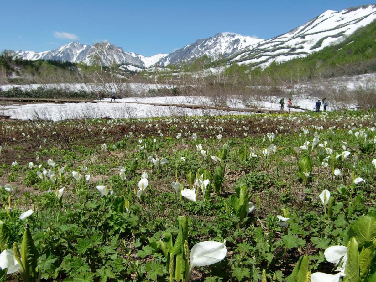 Vila Anri Hakuba Exteriér fotografie